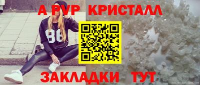 крисы Краснознаменск