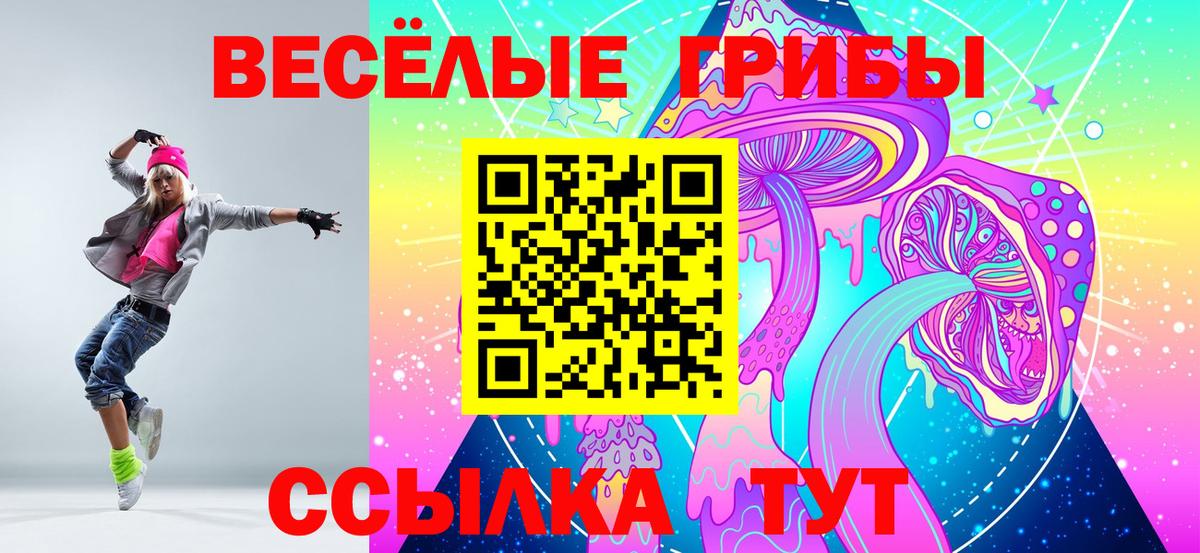 закладка  Псилоцибиновые грибы Psilocybe  Вход с VPN  Карачаевск 