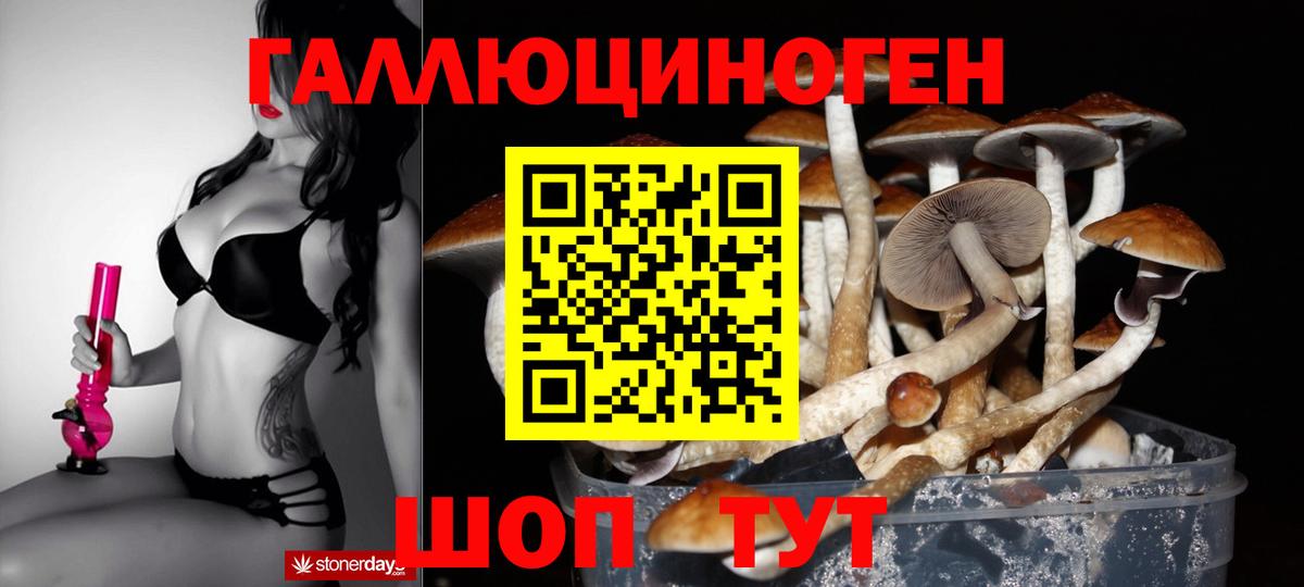 Псилоцибиновые грибы прущие грибы Карачаевск